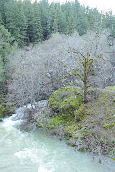 DSC_0949 (Large).JPG